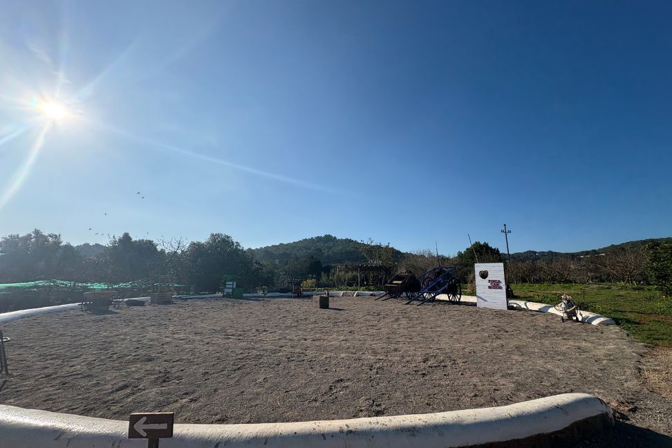 Imagen de la Galería