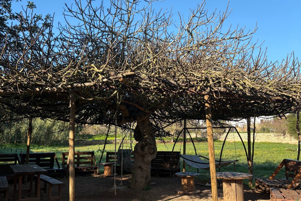 Imagen de la Galería