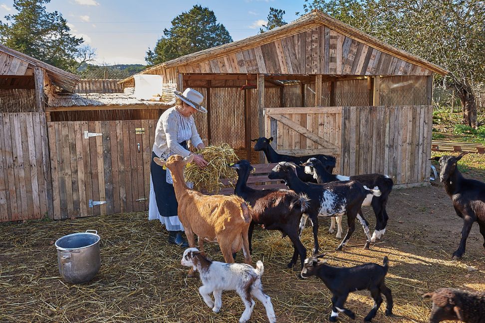 Imagen de la Galería