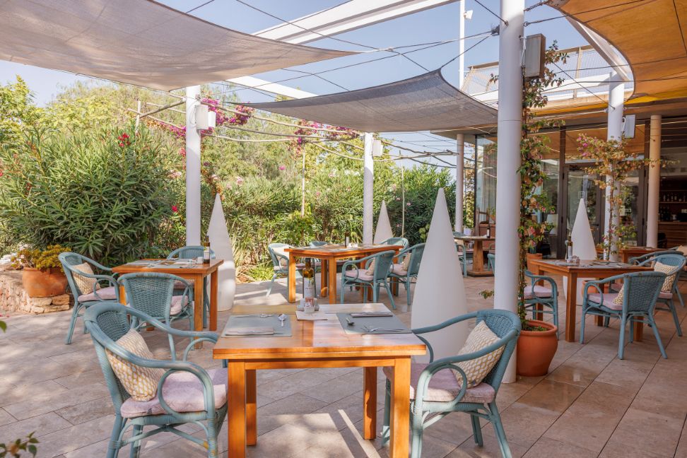 Imagen de la Galería