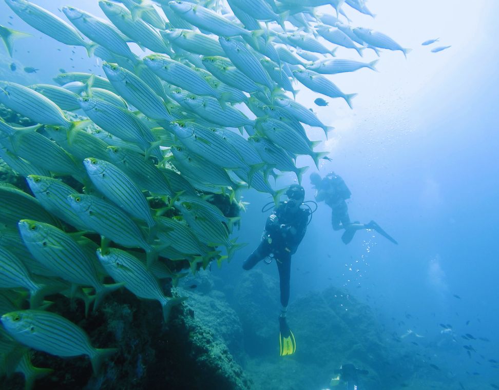 Imagen de la Galería