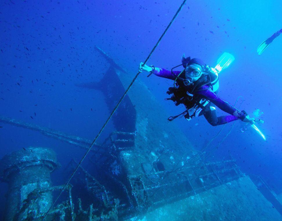 Imagen de la Galería