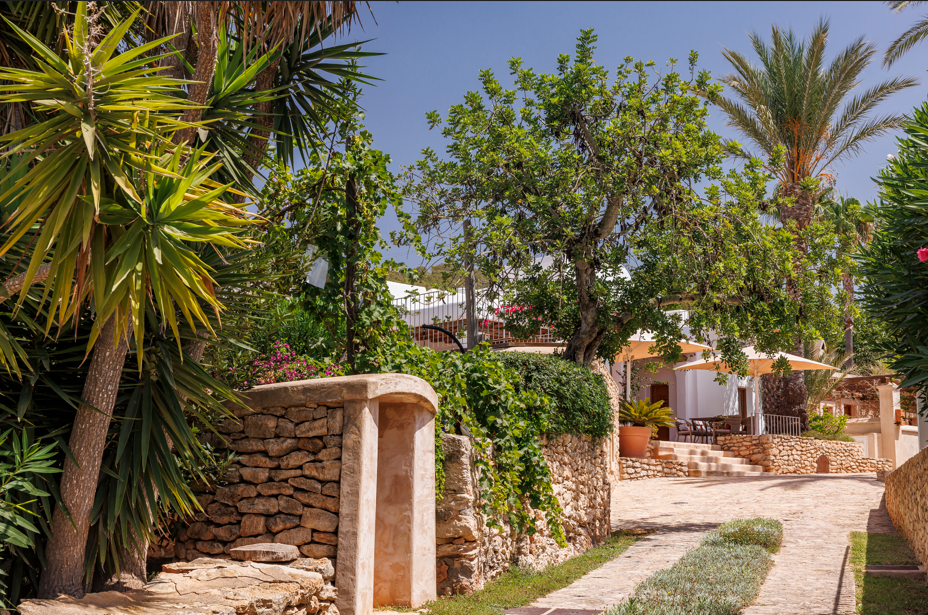 Imagen de la Galería