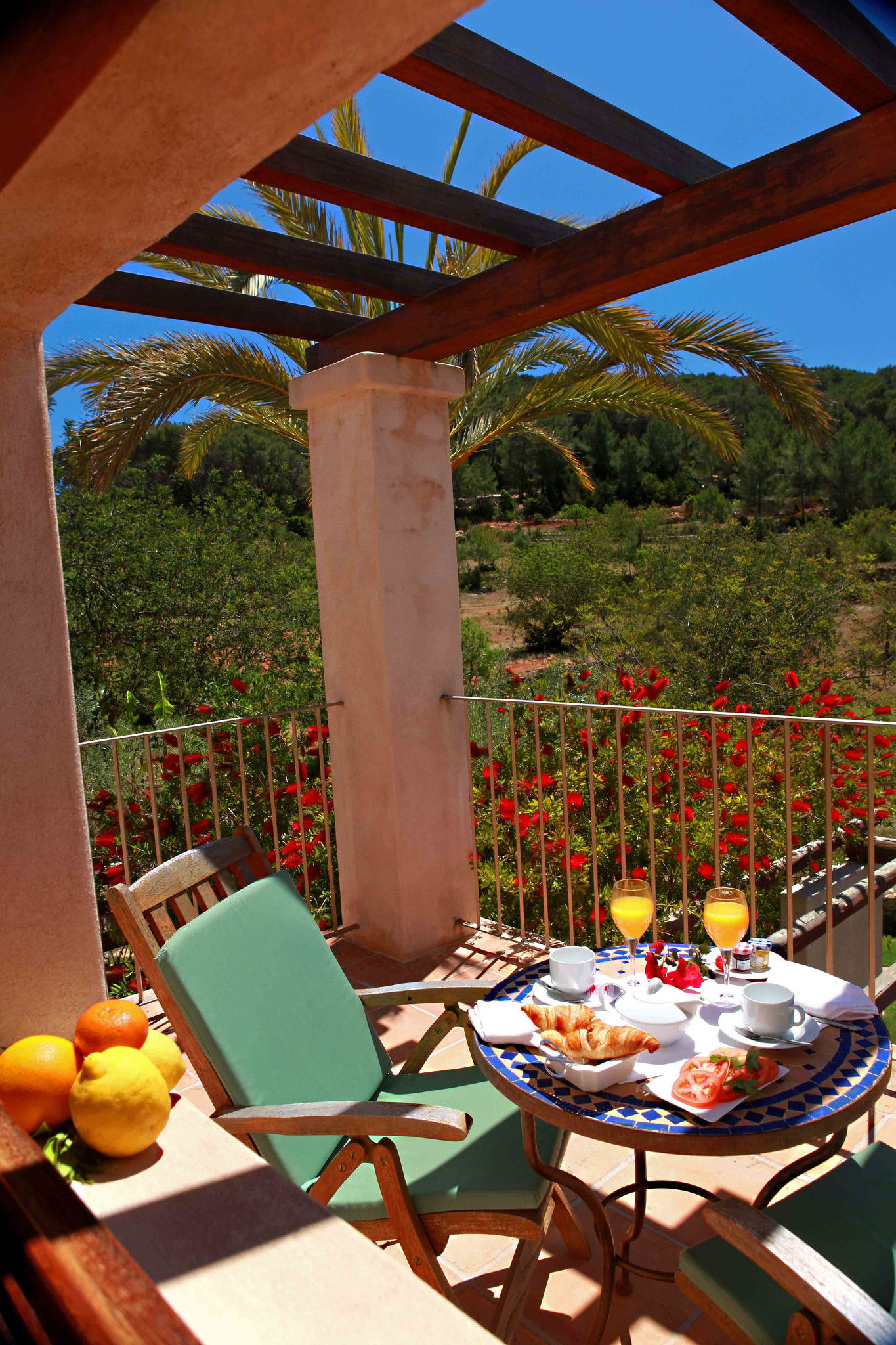 Imagen de la Galería