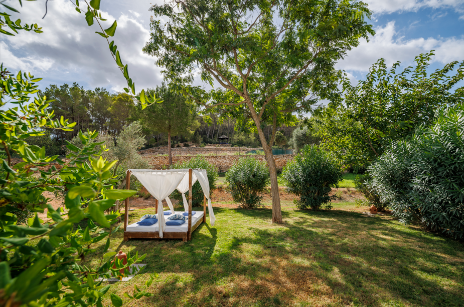 Imagen de la Galería