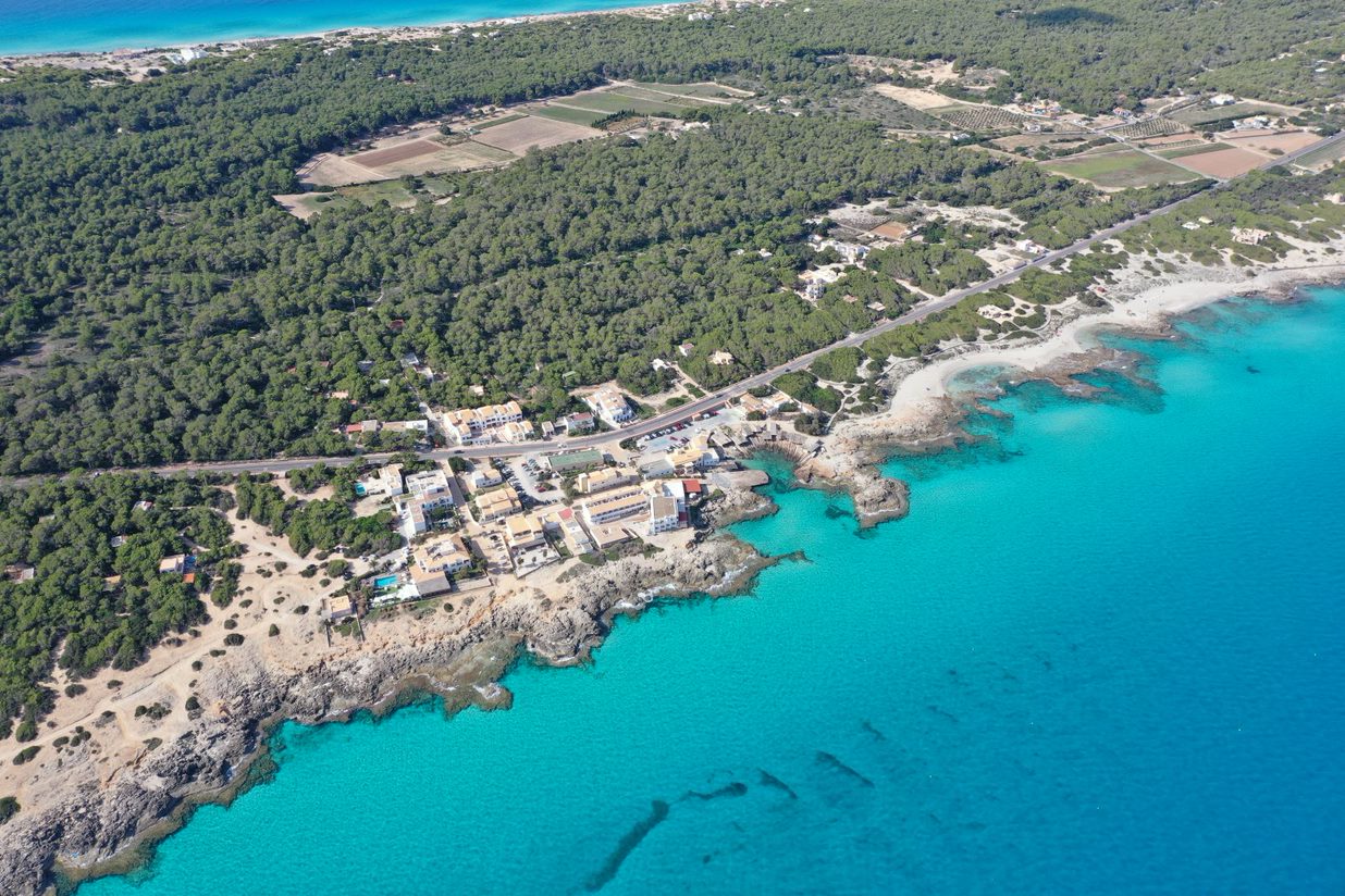 Imagen de la Galería