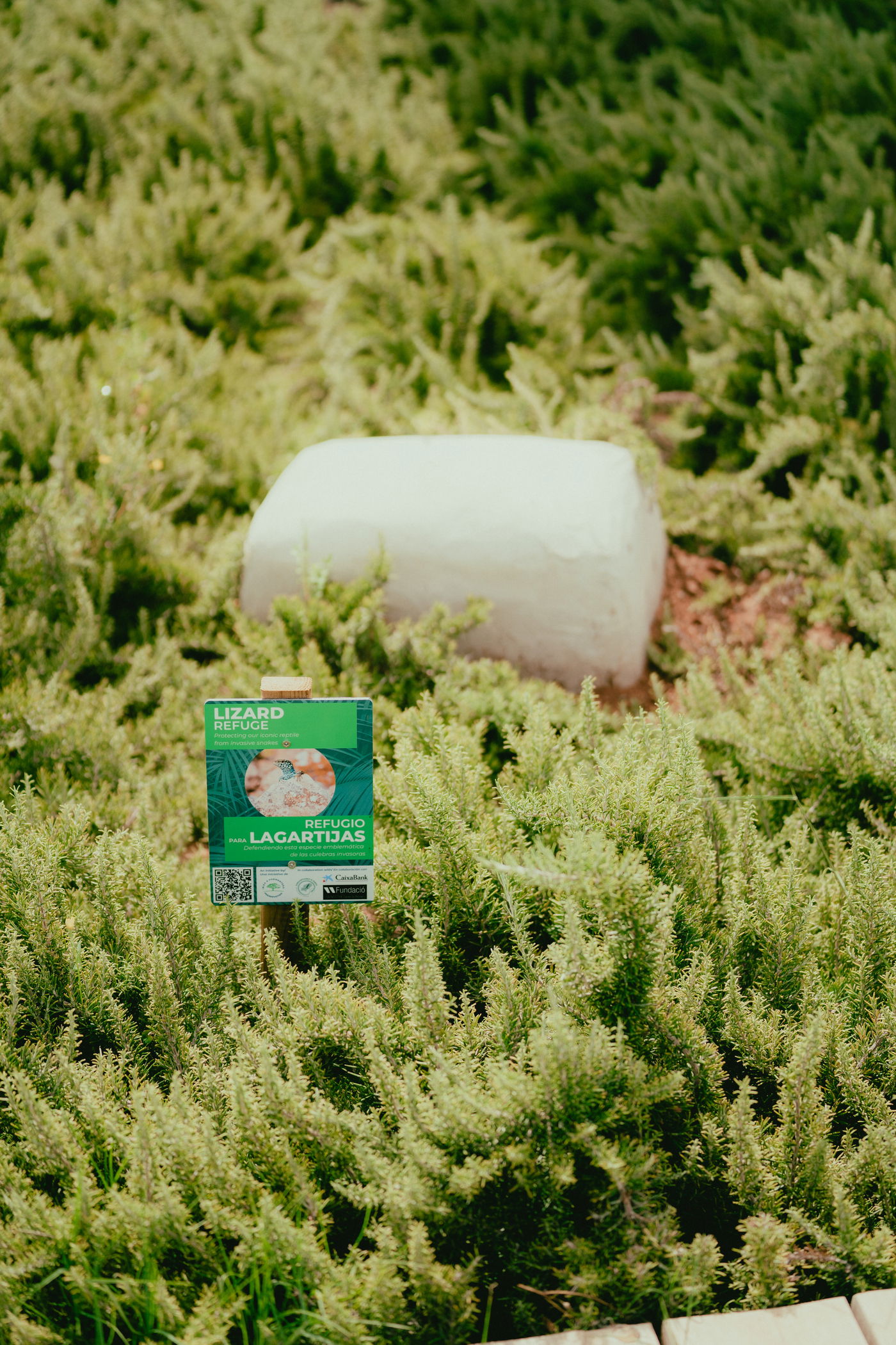 Water that comes back