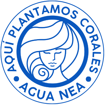 Hotel Sostenibile San José Ibiza | Can Salia - 4