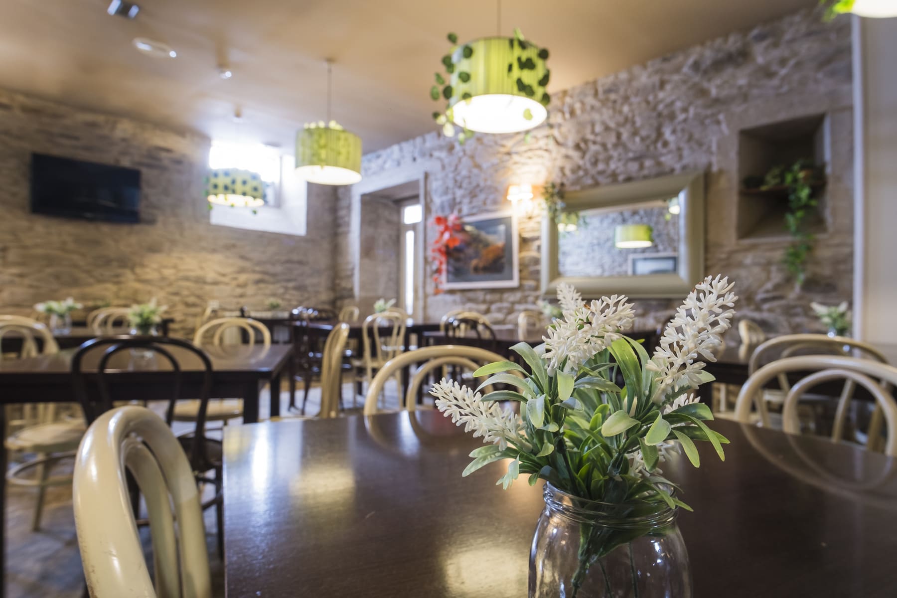 Imagen de la Galería 4