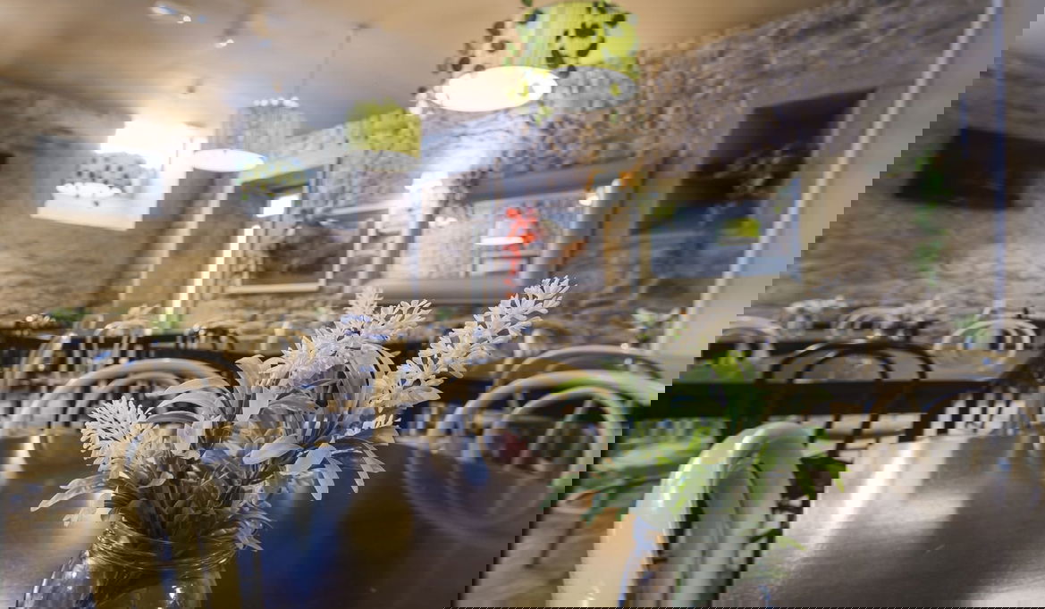 Imagen de la Galería 4