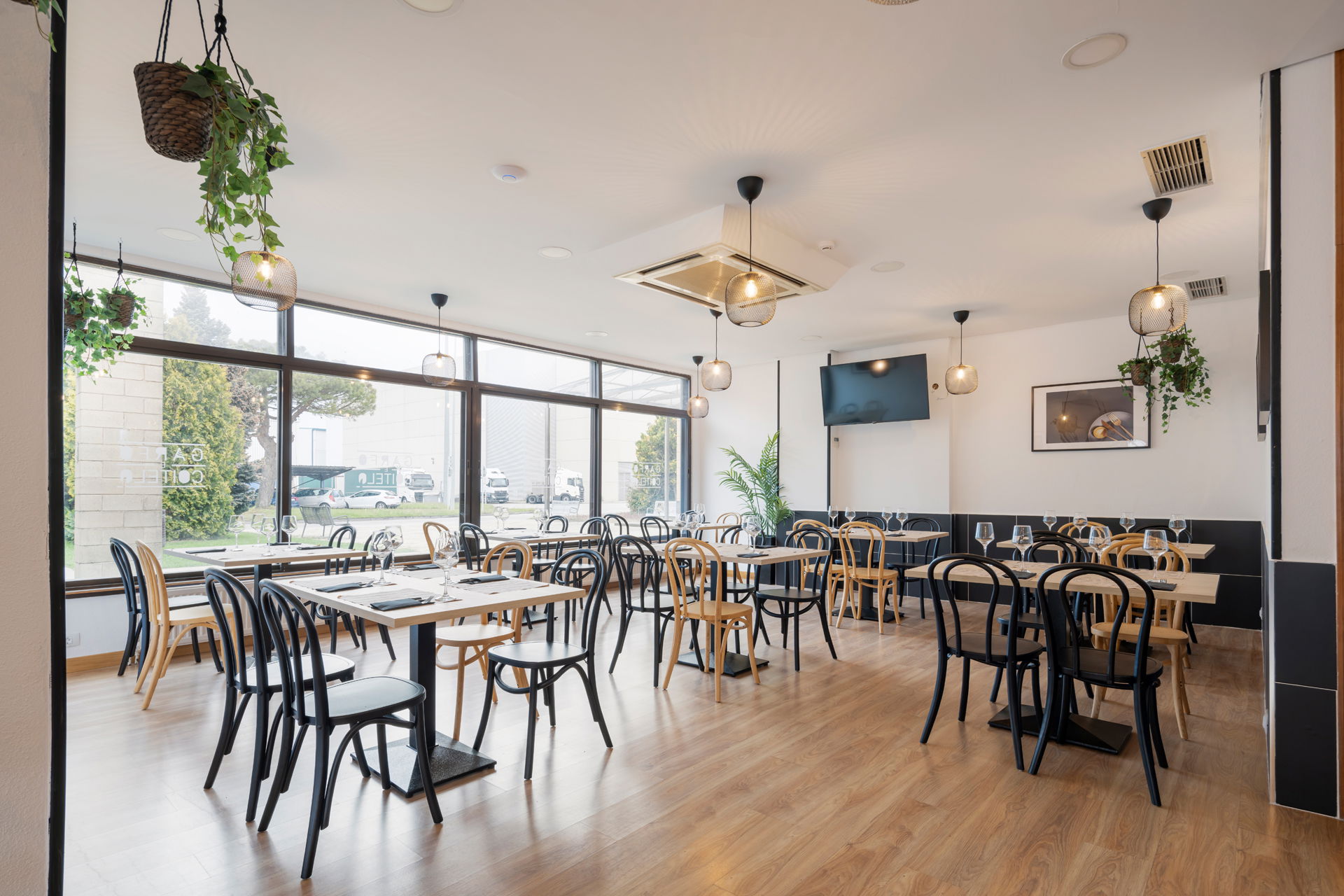 Imagen de la Galería 10