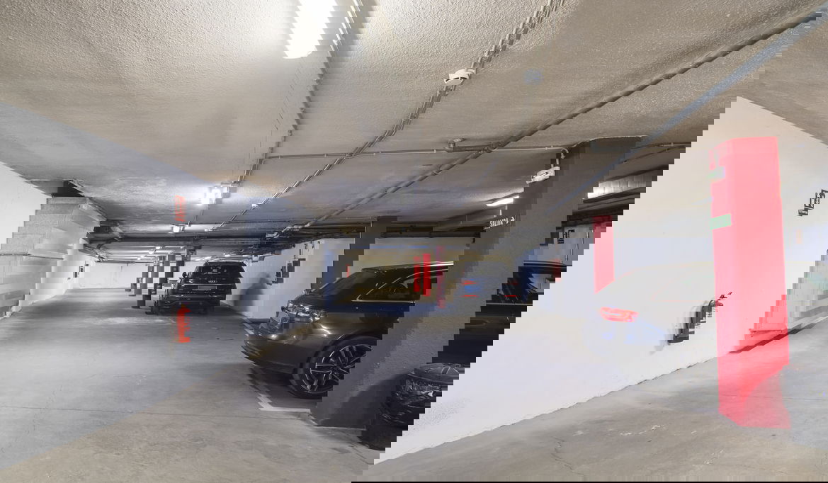 Imagen de la Galería 7