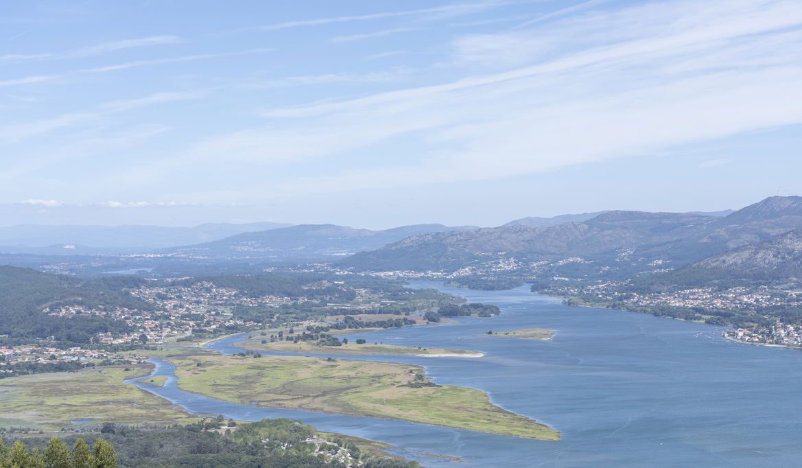 Imagen de la Galería 8