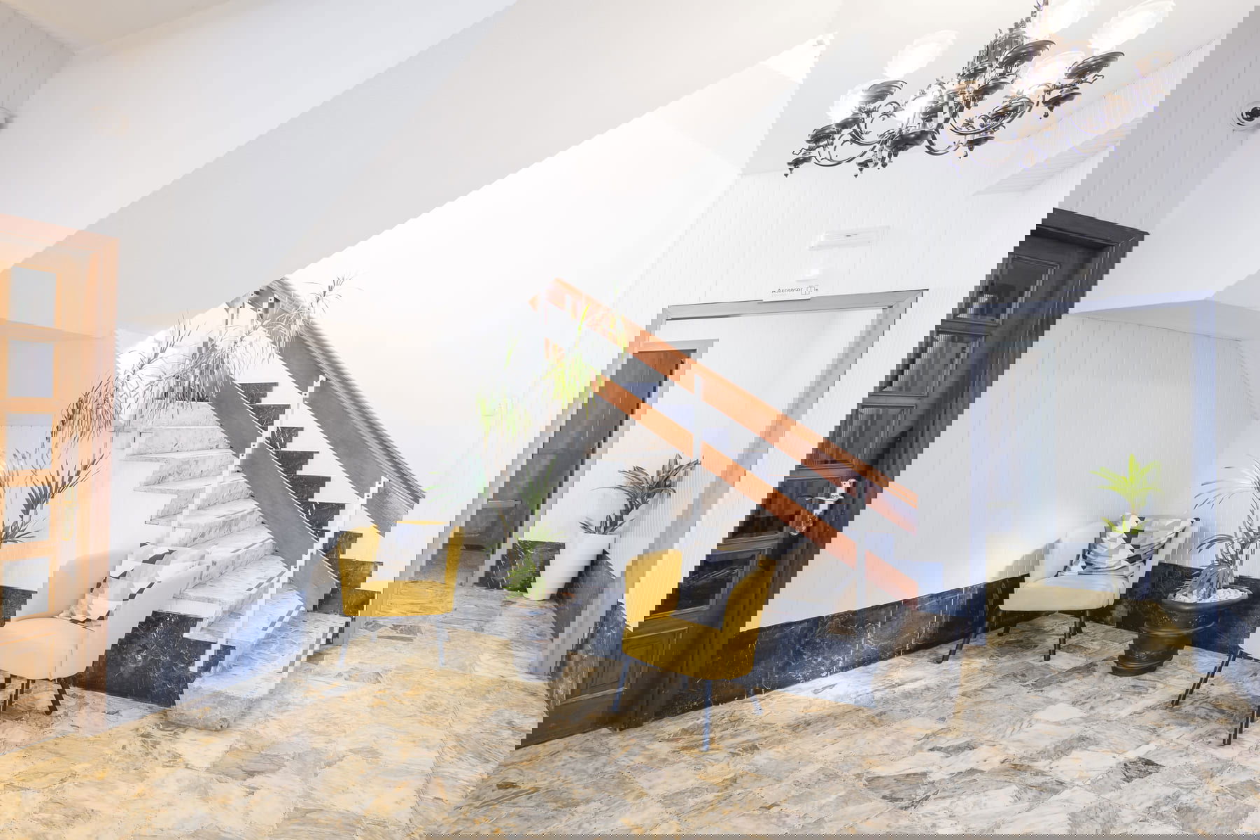 Imagen de la Galería 11