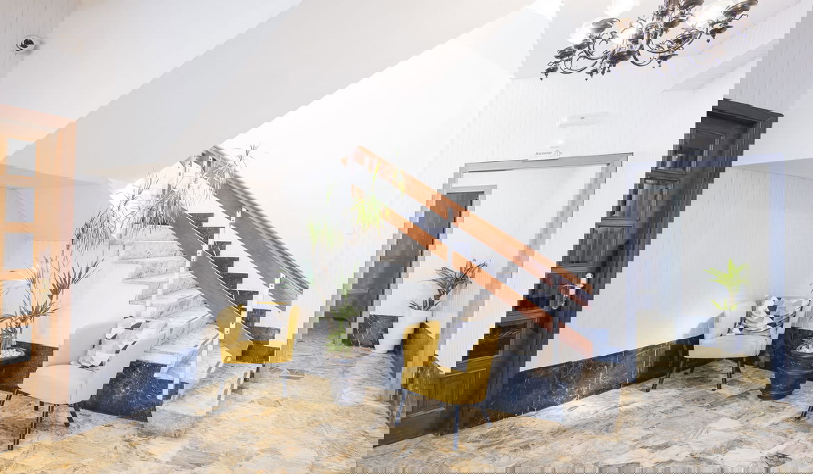 Imagen de la Galería 11