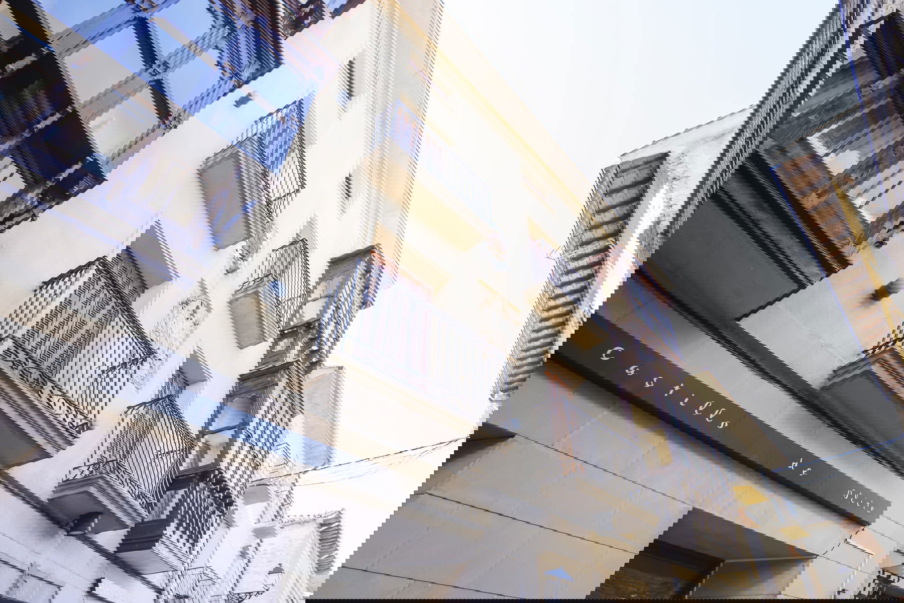 Imagen de la Galería 2