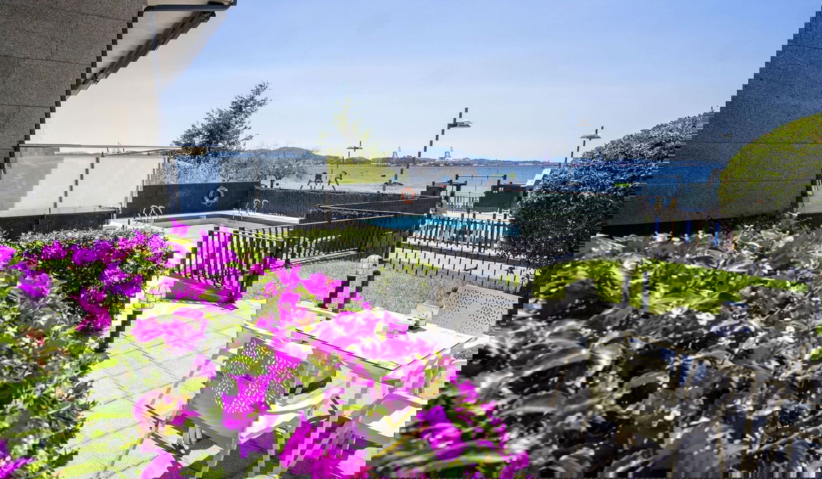 Imagen de la Galería 7