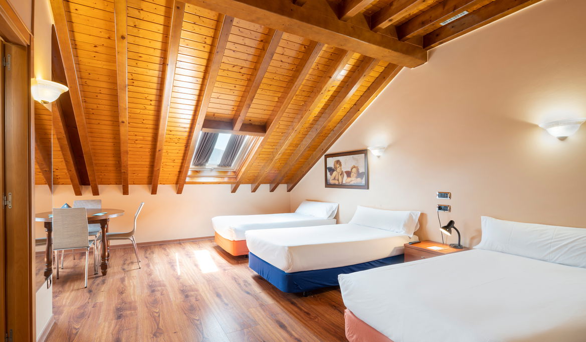 Imagen de la Galería 7