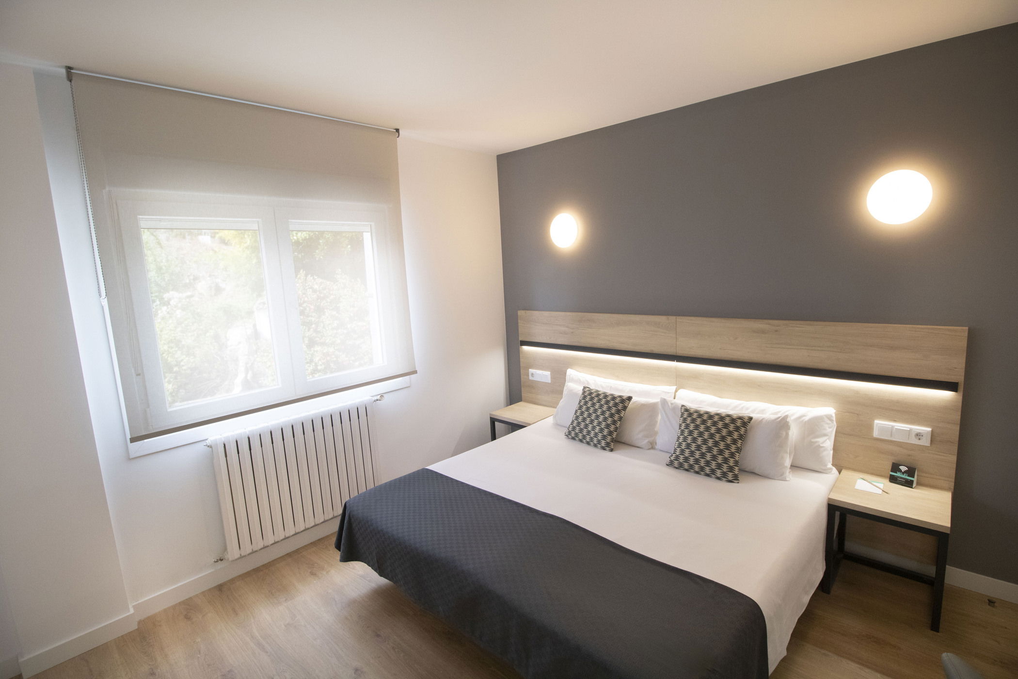 Imagen de la Galería 1