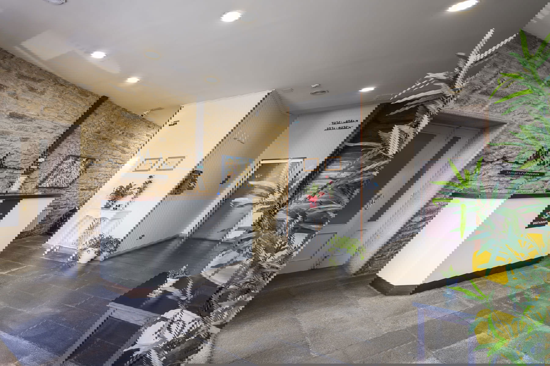 Imagen de la Galería 3