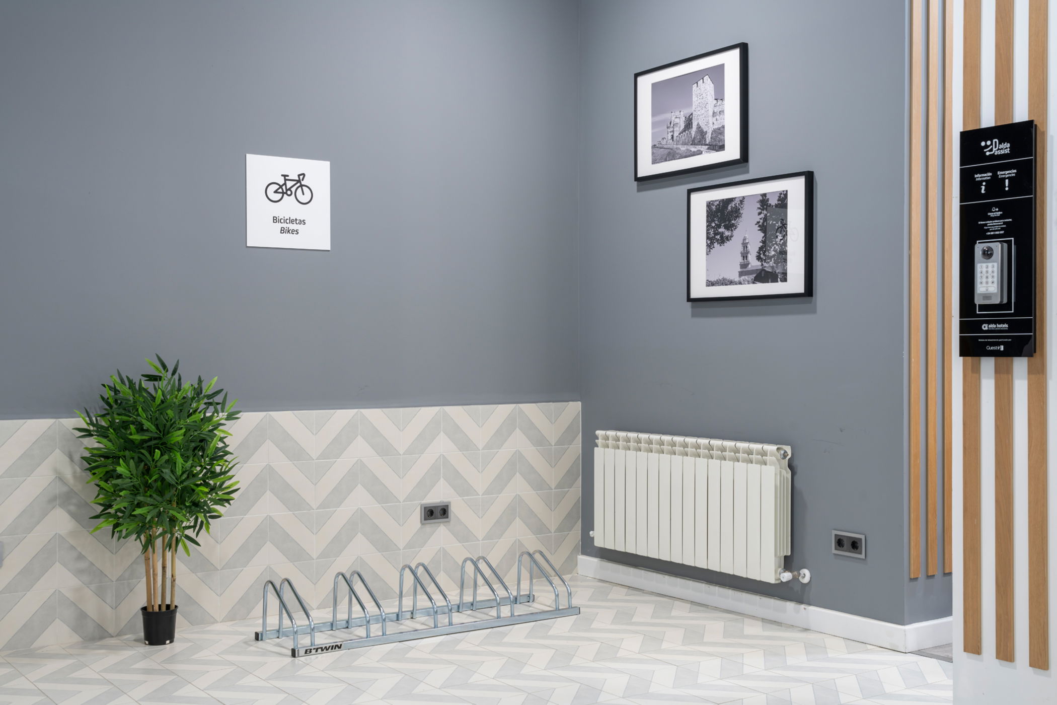 Imagen de la Galería 7