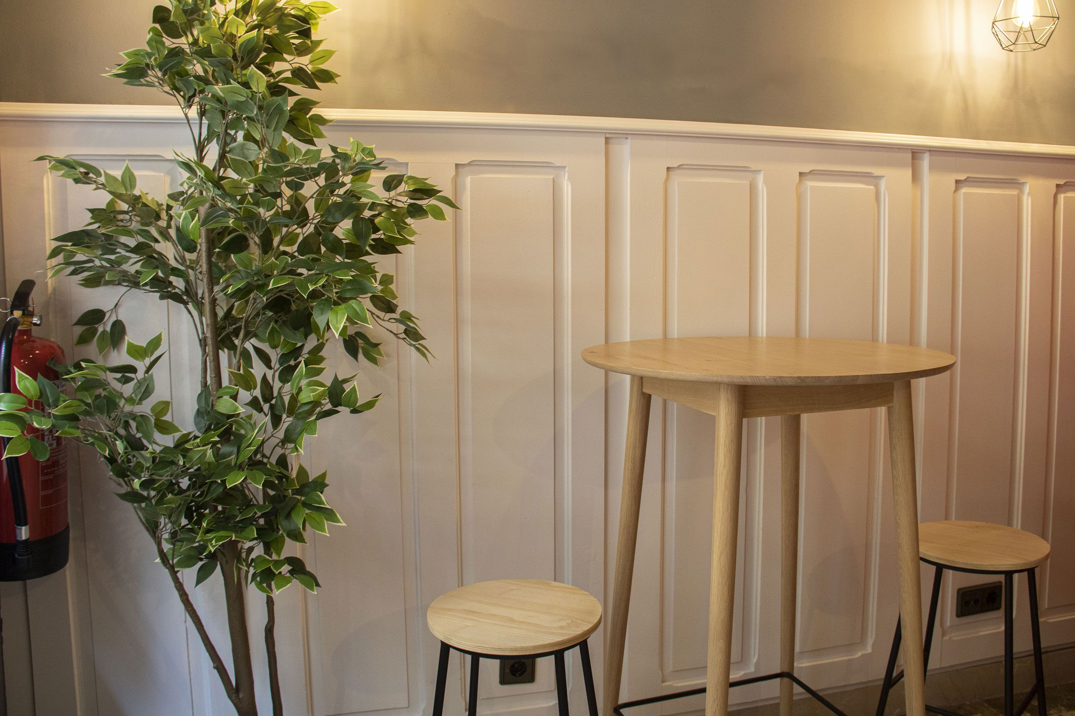 Imagen de la Galería 4