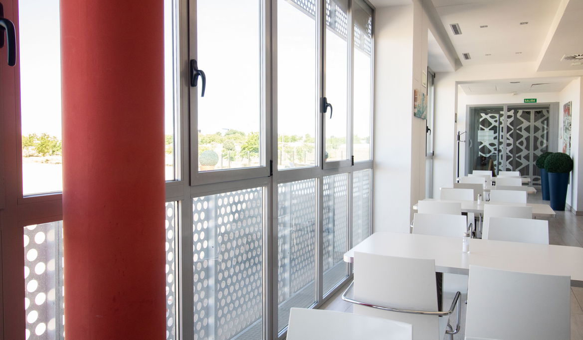 Imagen de la Galería 10