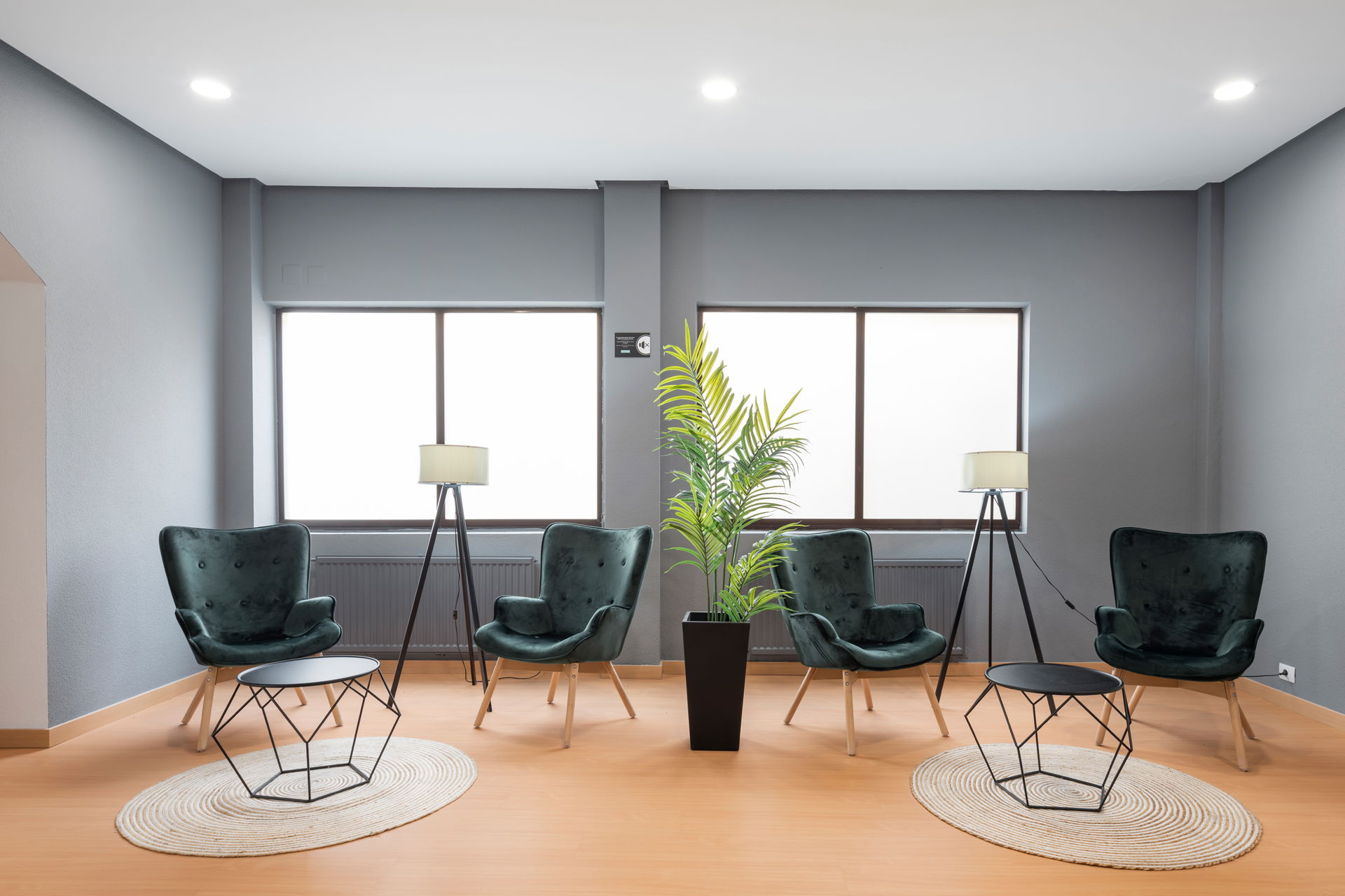 Imagen de la Galería 11