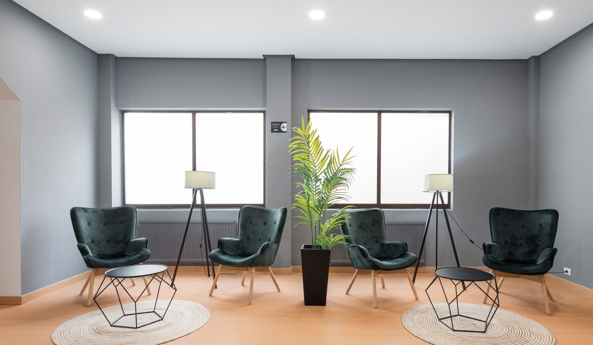 Imagen de la Galería 11