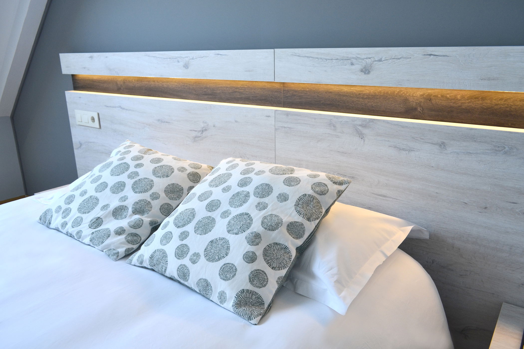 Imagen de la Galería 5