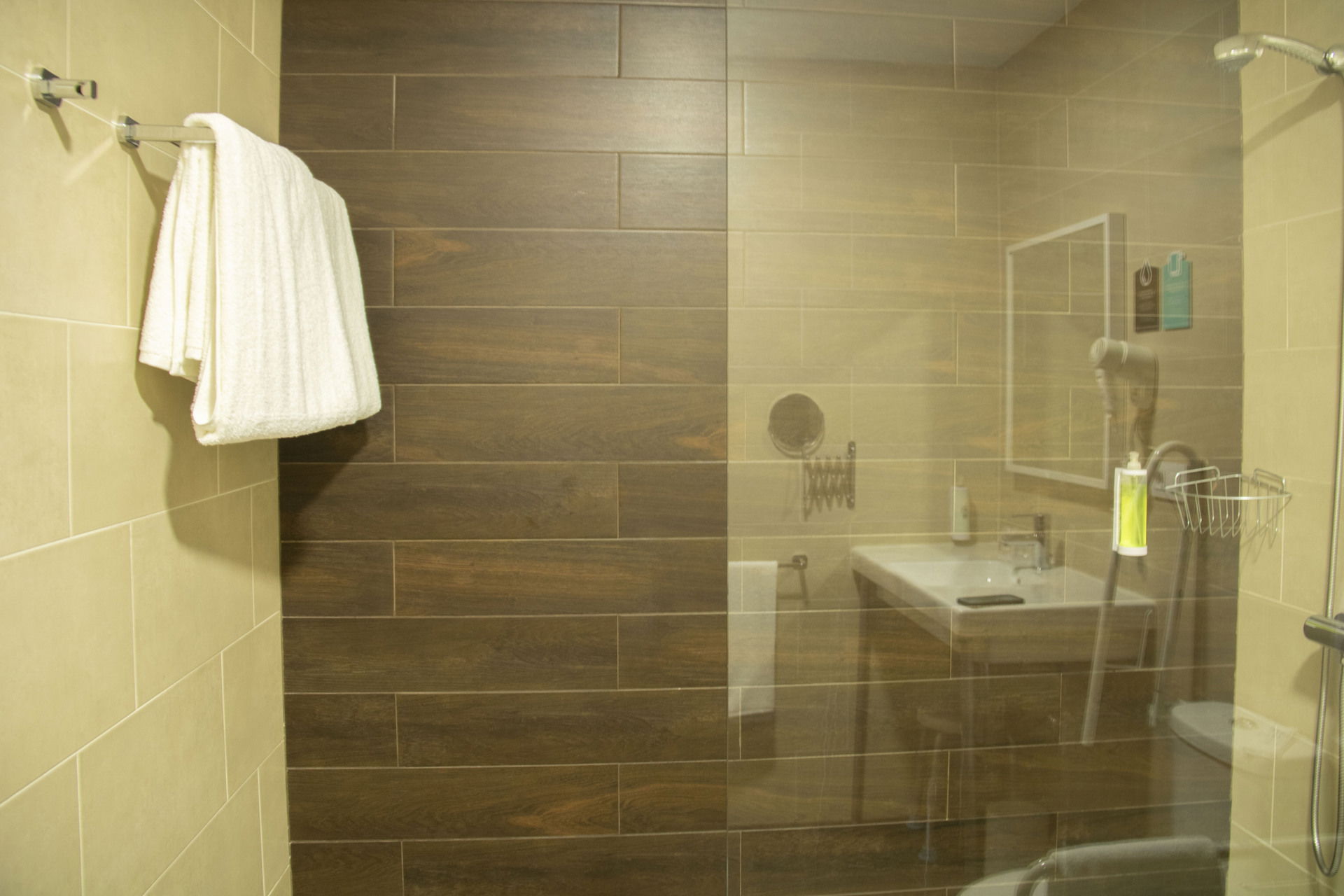 Imagen de la Galería 8