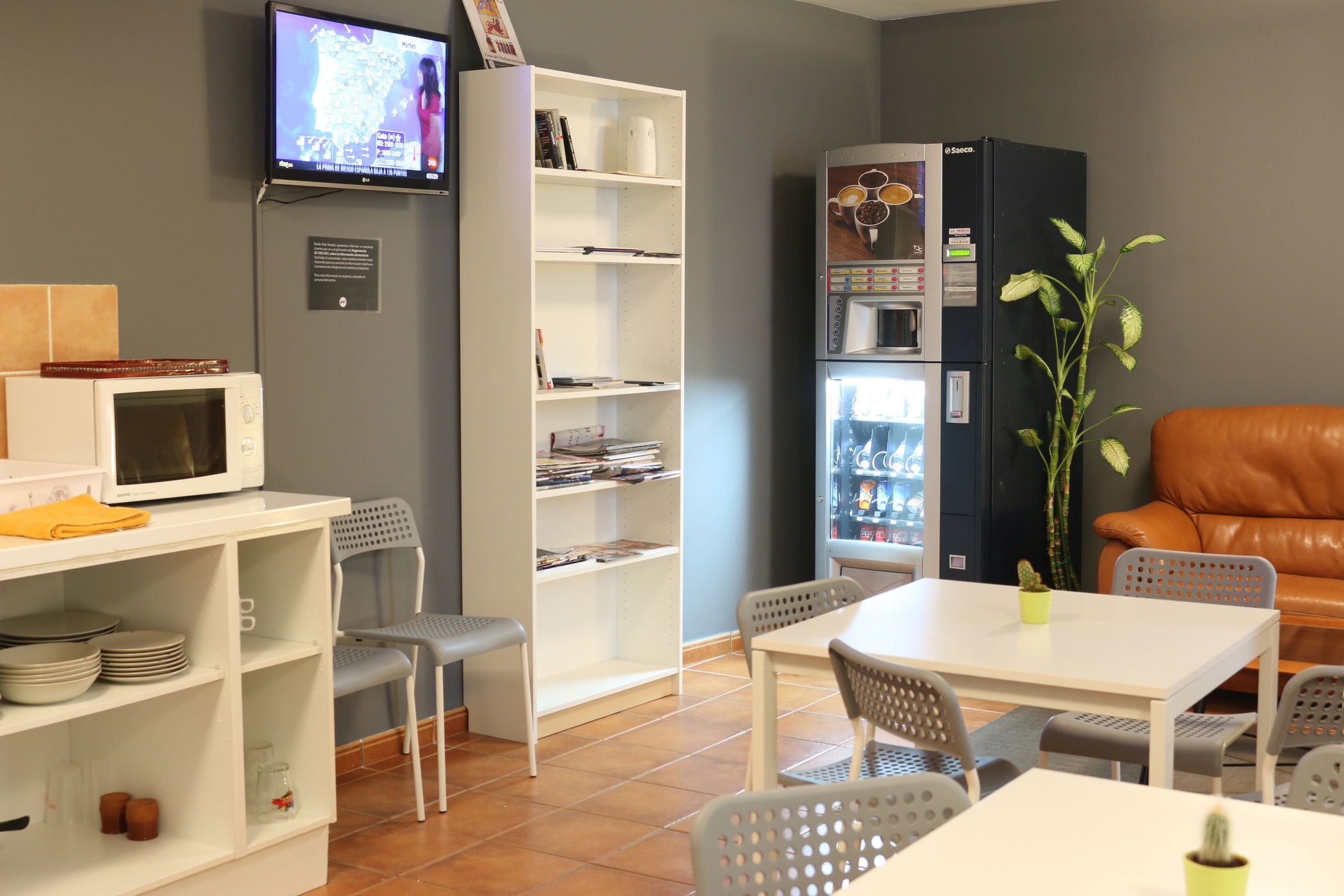 Imagen de la Galería 9