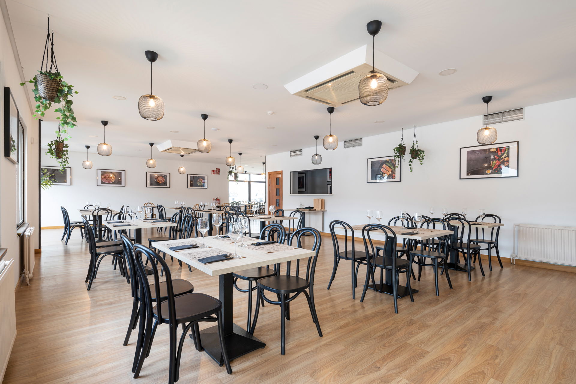 Imagen de la Galería 5