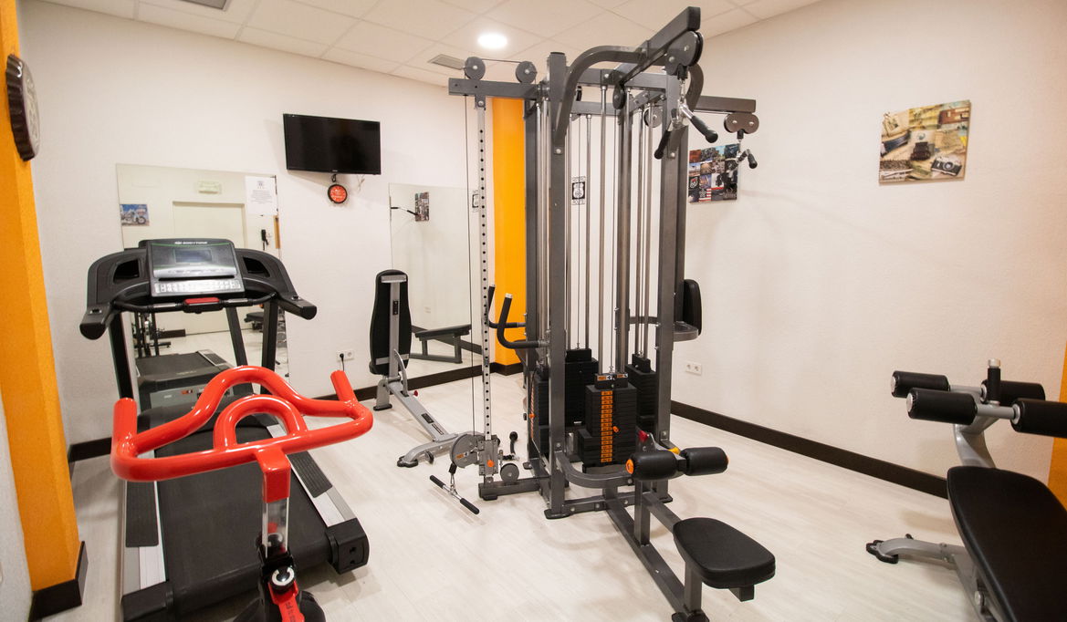 Imagen de la Galería 7