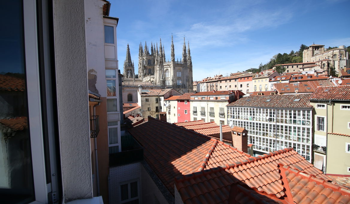 Imagen de la Galería 11