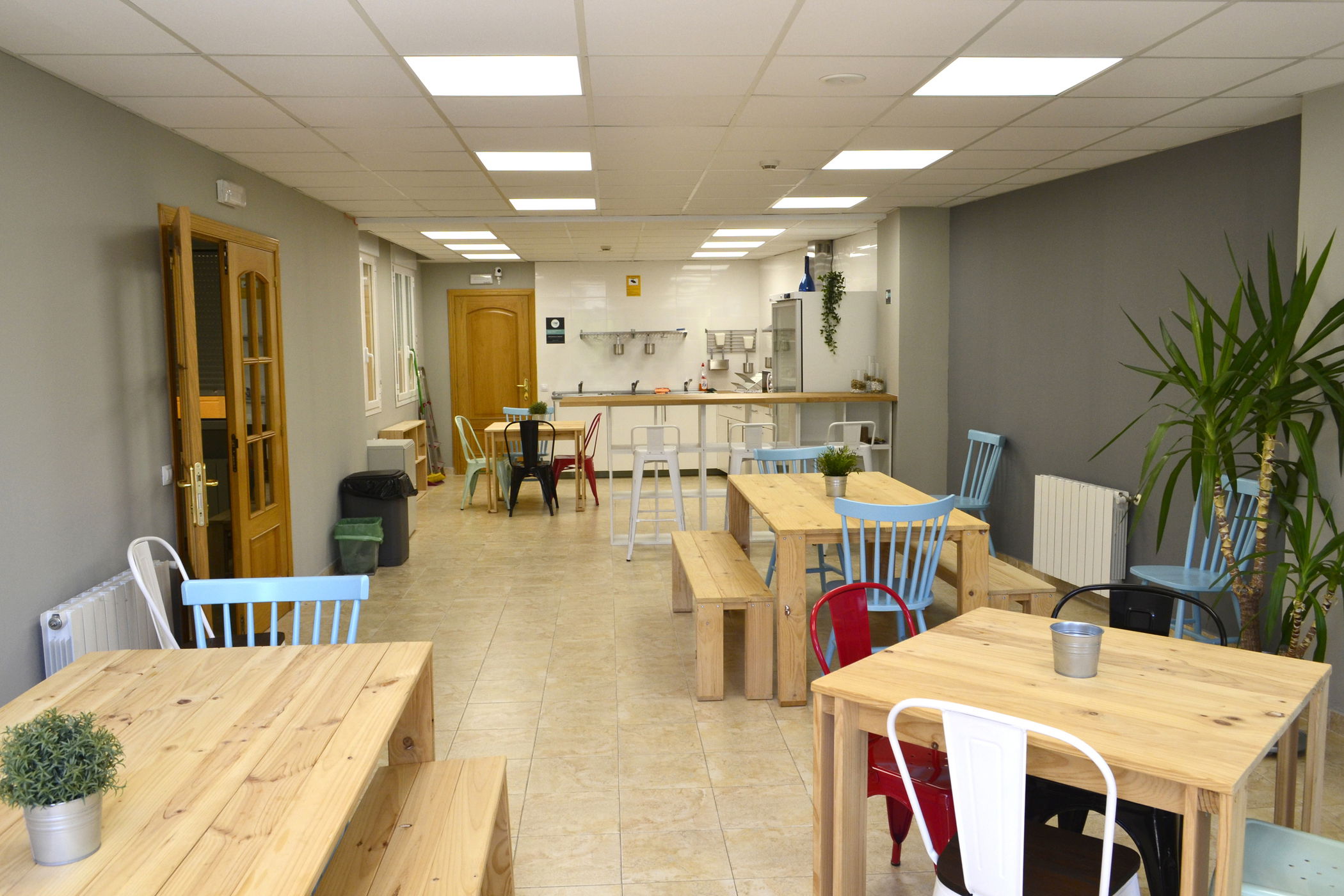 Imagen de la Galería 11