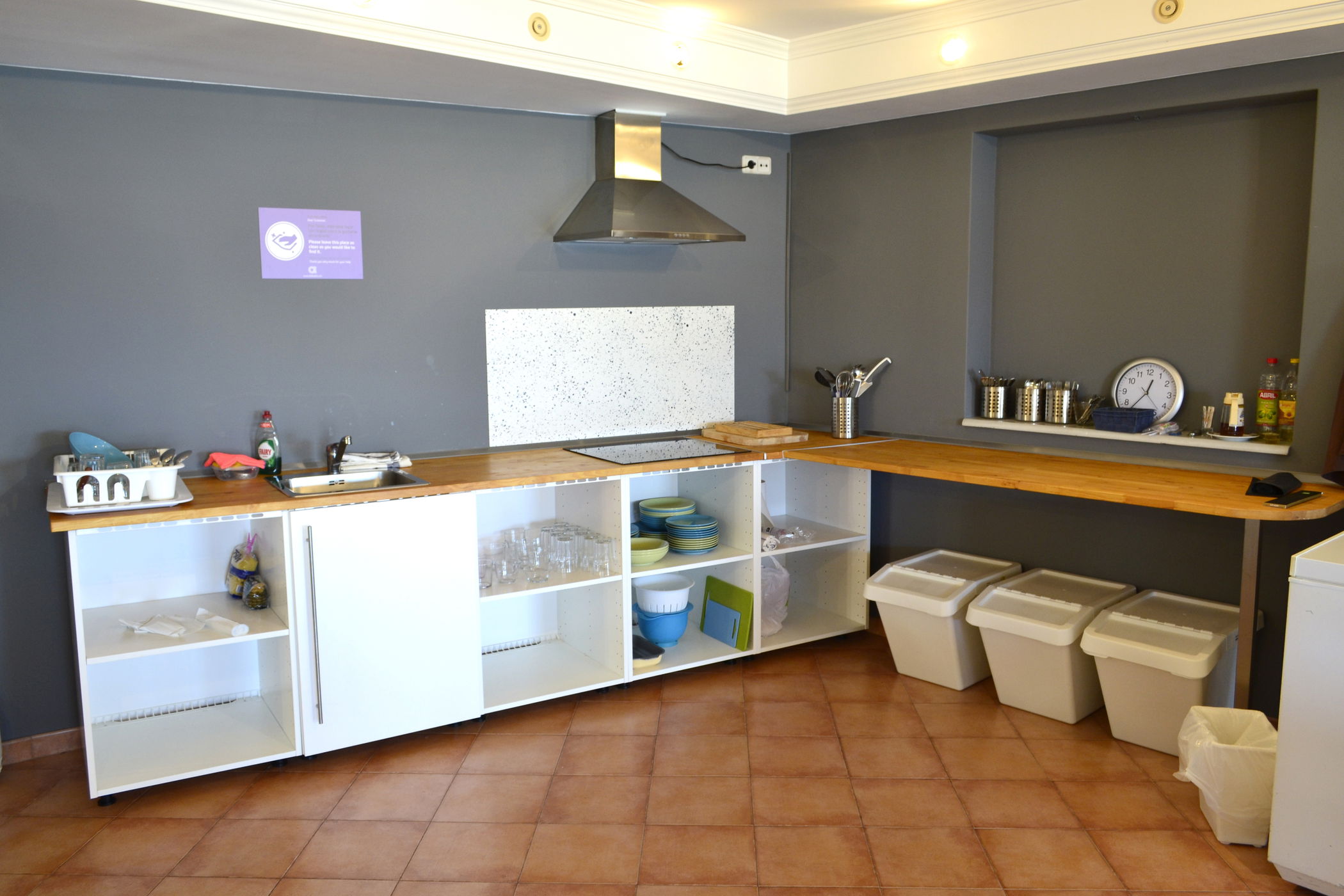 Imagen de la Galería 8