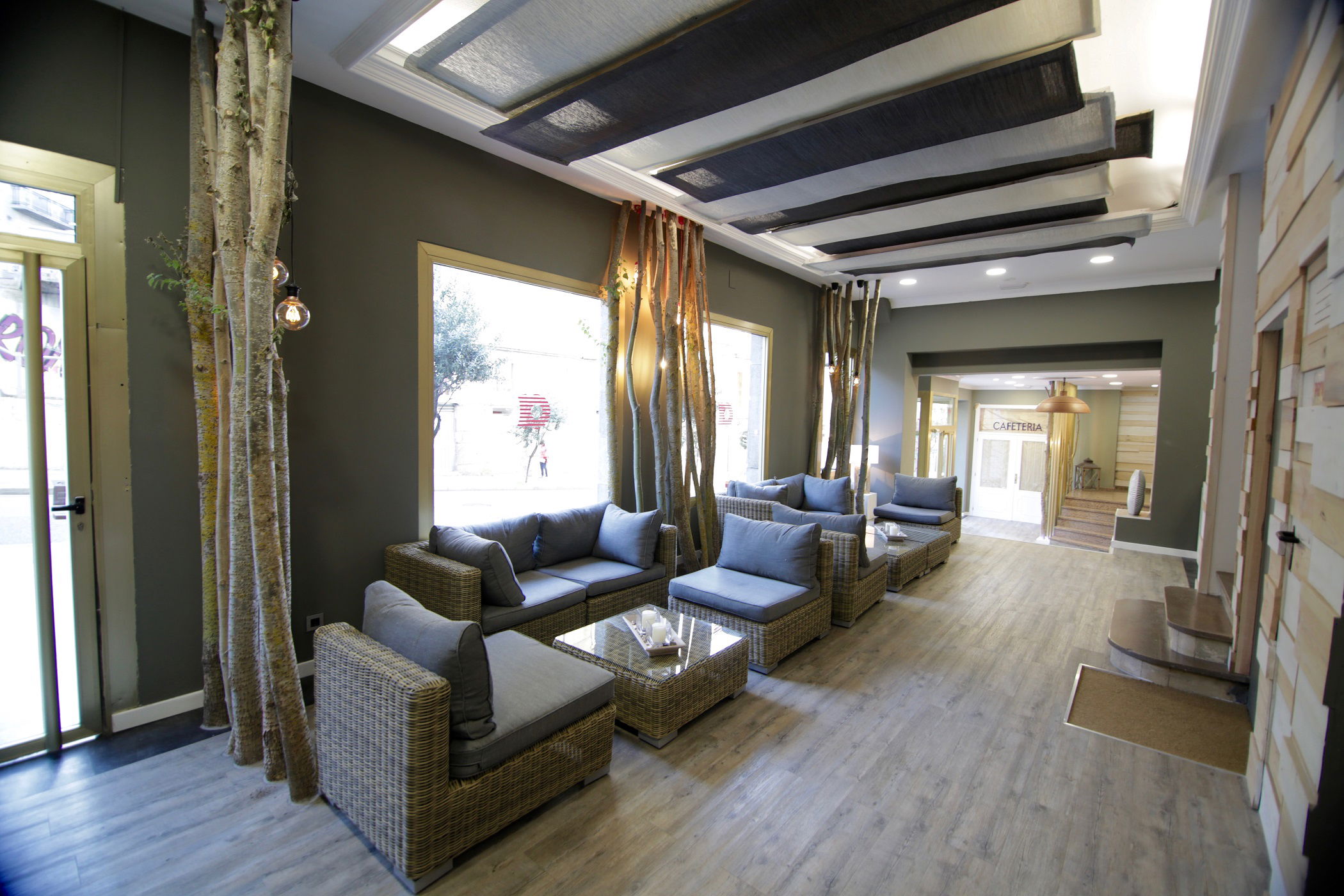 Imagen de la Galería 1