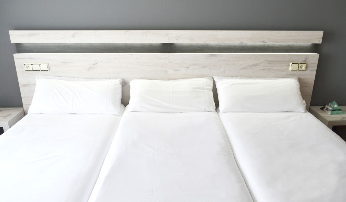 Imagen de la Galería 6