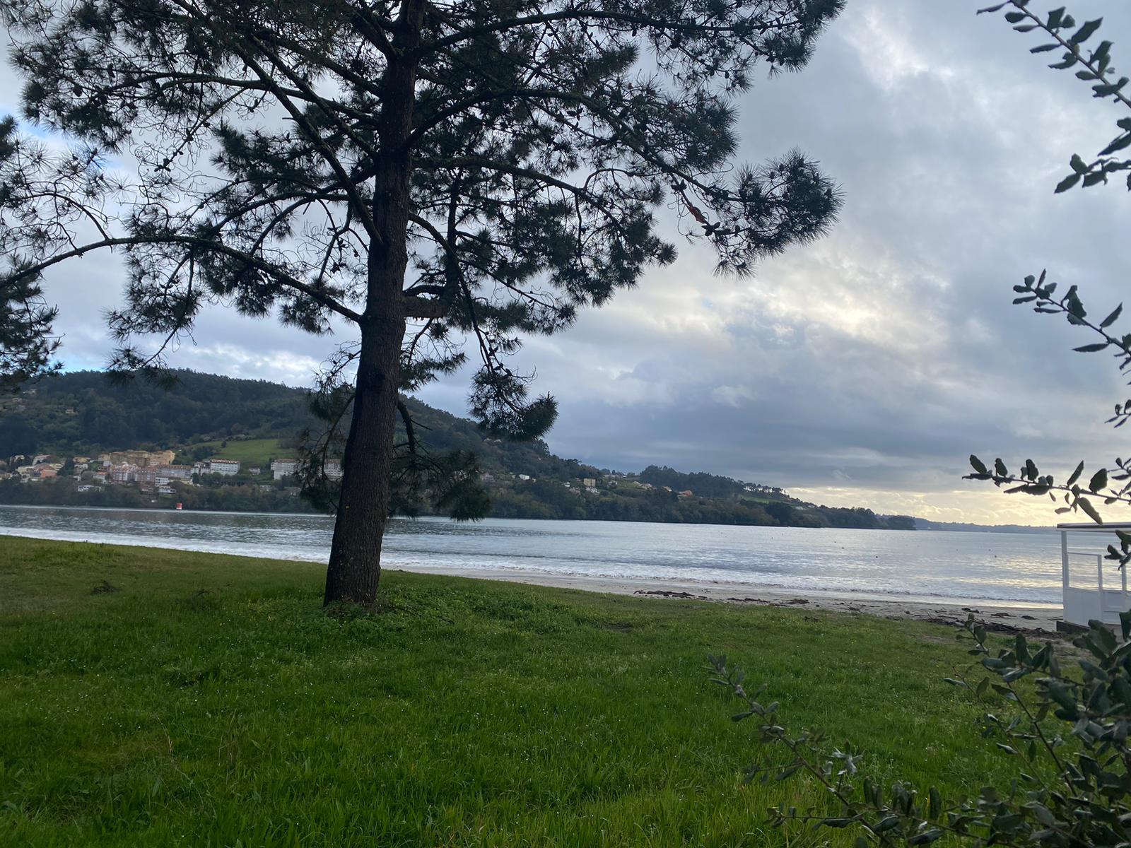 Imagen de la Galería 8