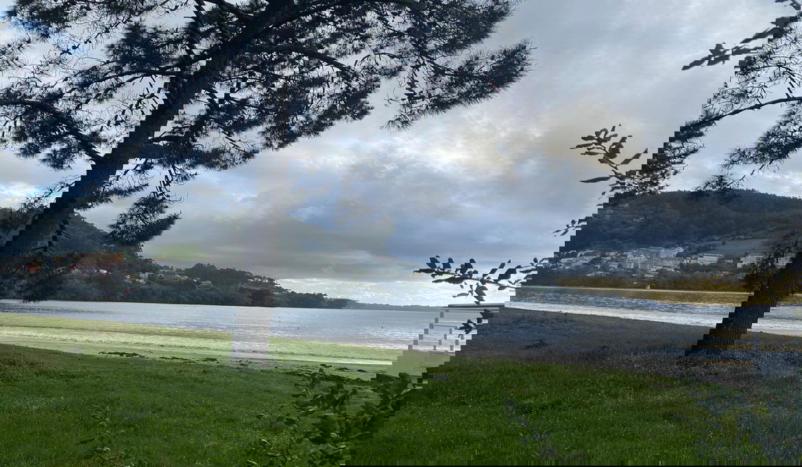 Imagen de la Galería 8