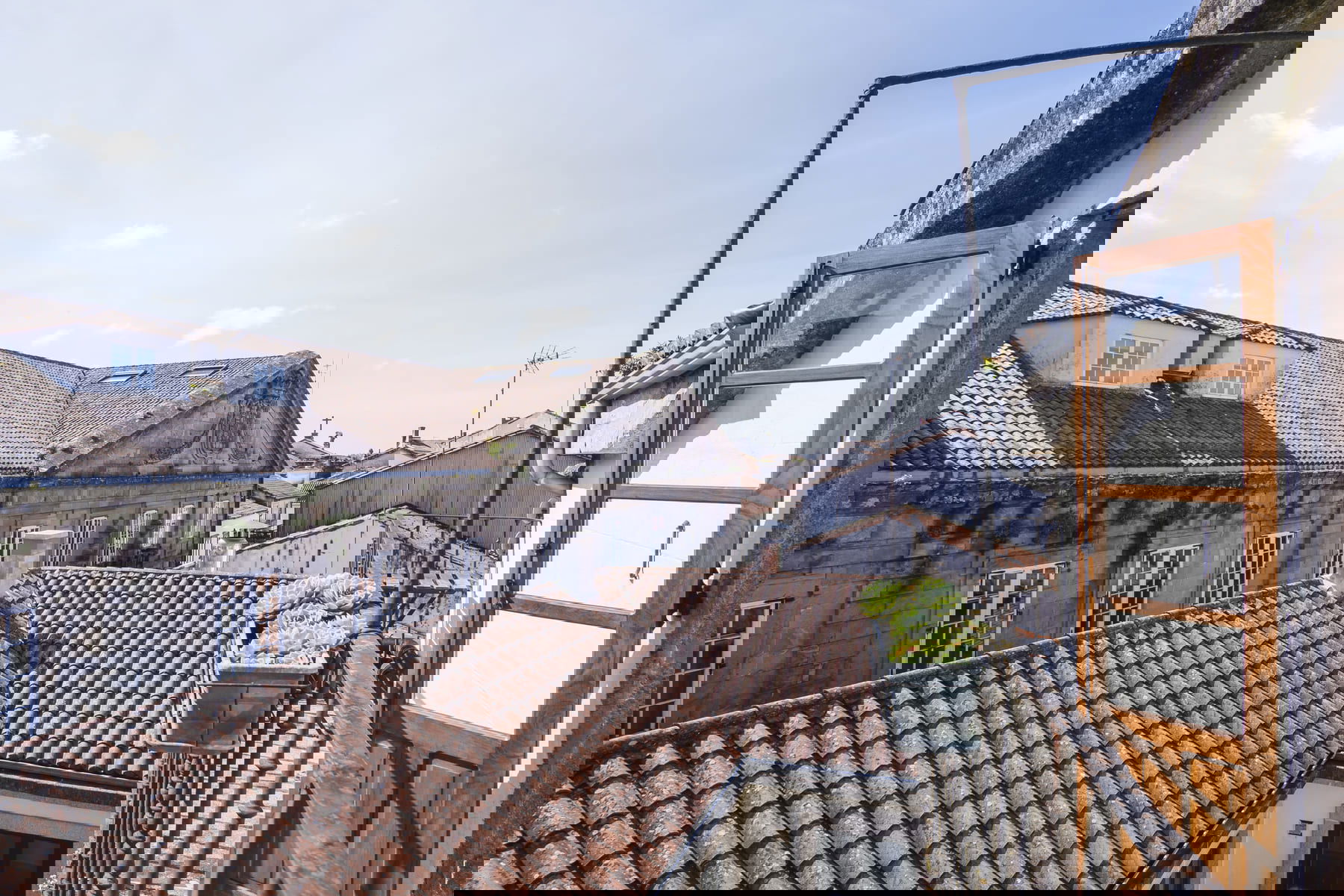 Imagen de la Galería 5