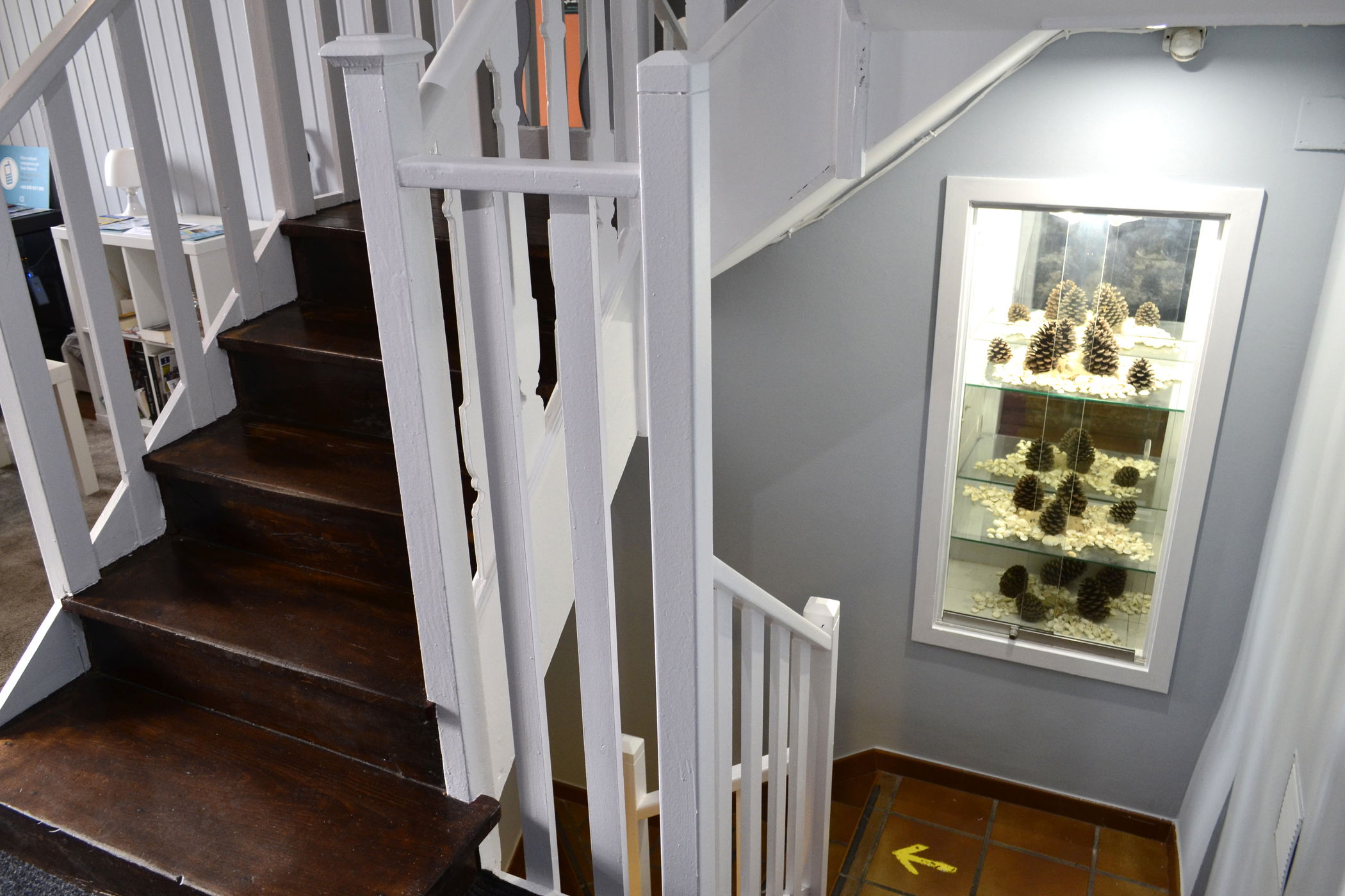 Imagen de la Galería 8