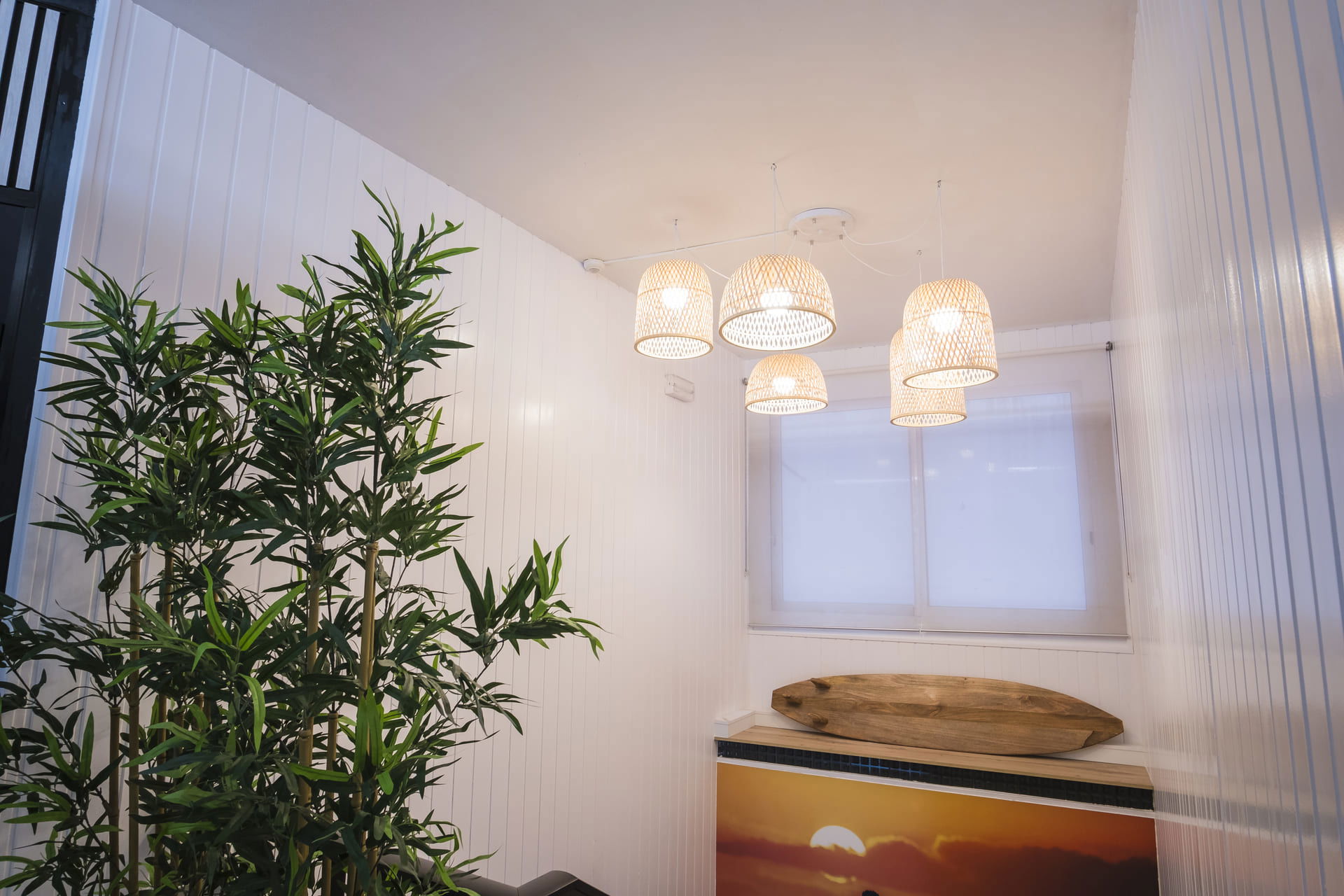 Imagen de la Galería 5