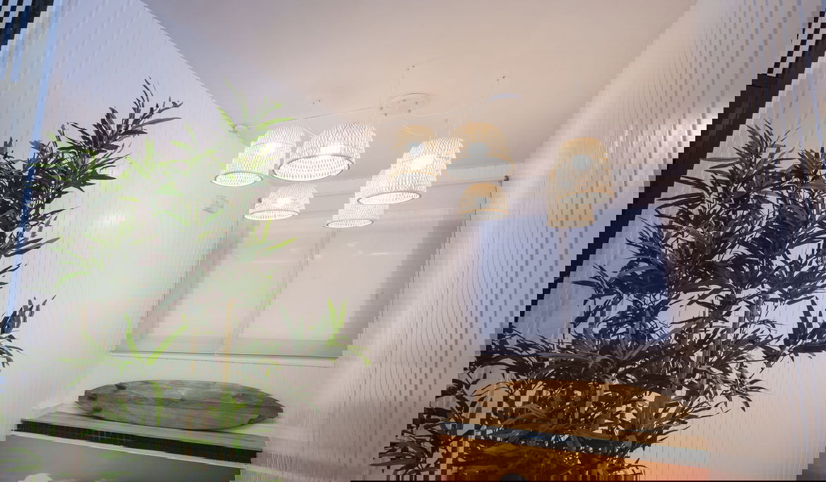 Imagen de la Galería 5