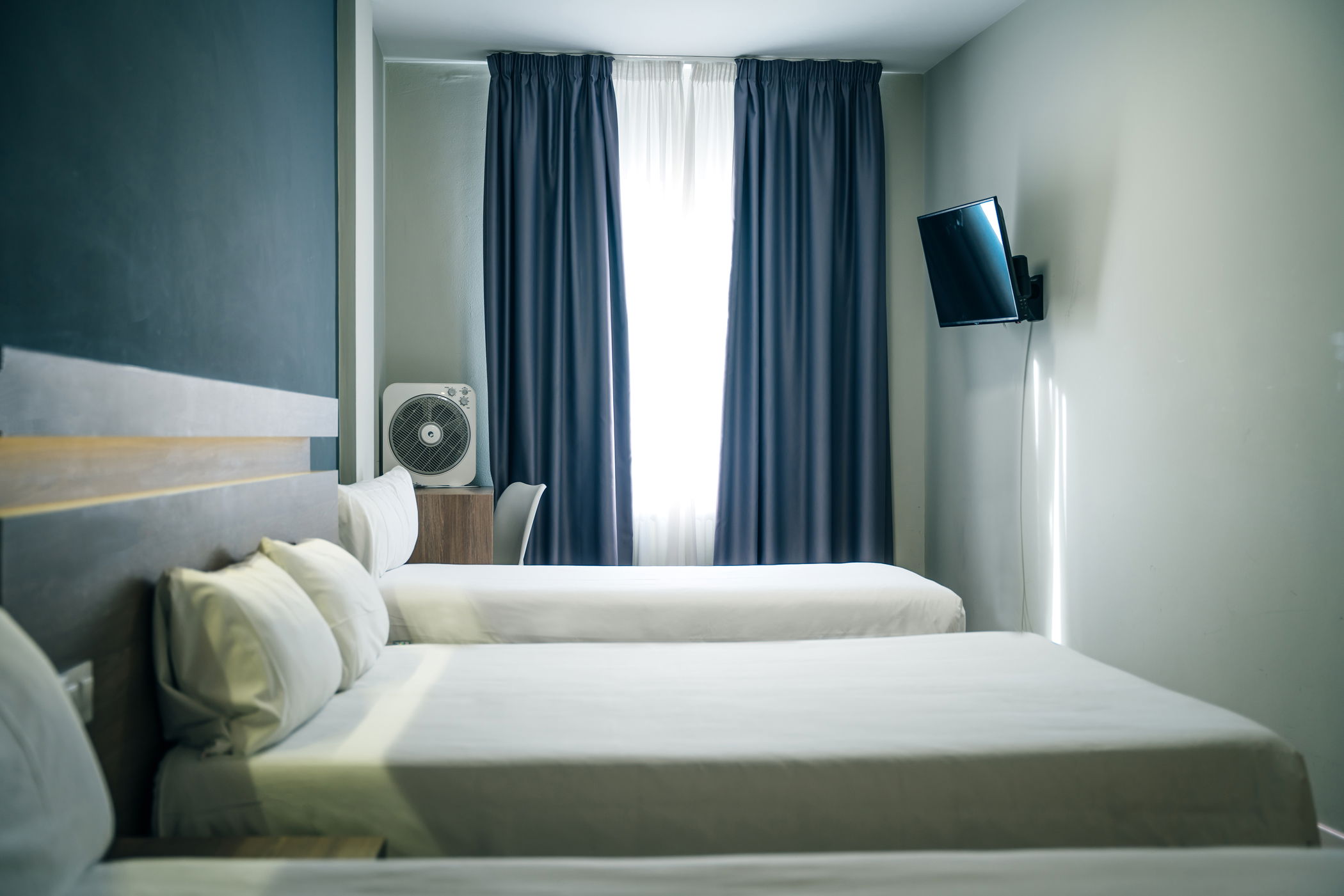 Imagen de la Galería 4