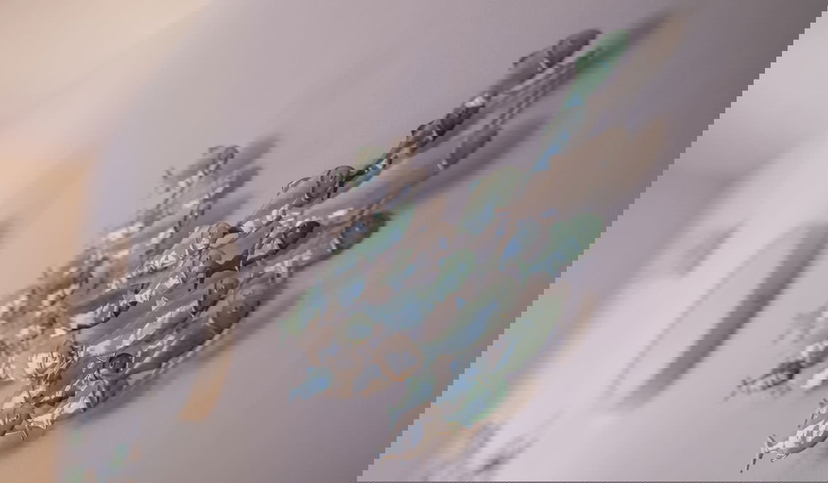 Imagen de la Galería 1