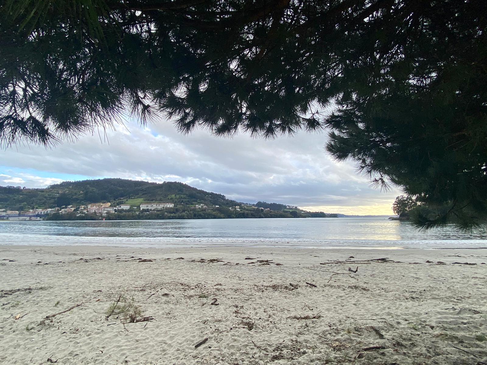 Imagen de la Galería 1