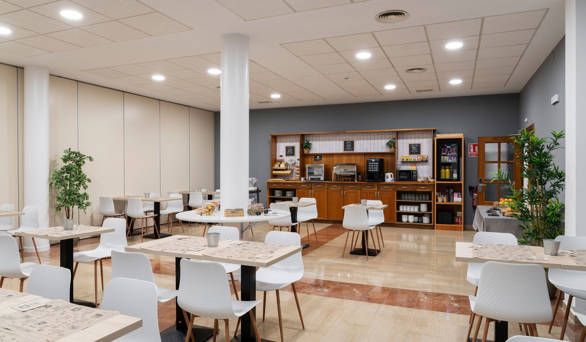 Imagen de la Galería 8