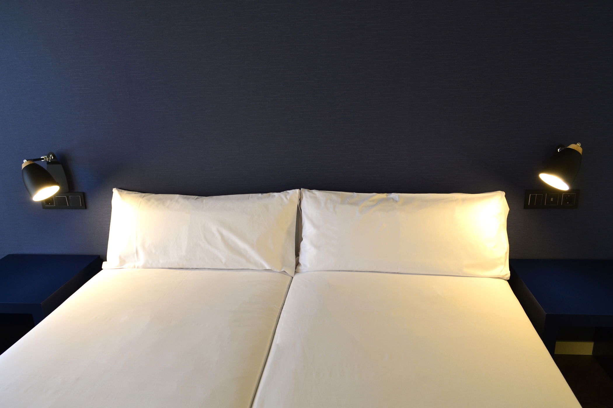 Imagen de la Galería 1